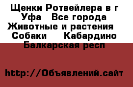 Щенки Ротвейлера в г.Уфа - Все города Животные и растения » Собаки   . Кабардино-Балкарская респ.